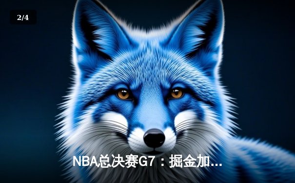 NBA总决赛G7：掘金加时险胜热火，约基奇三双率队首夺总冠军 - 2